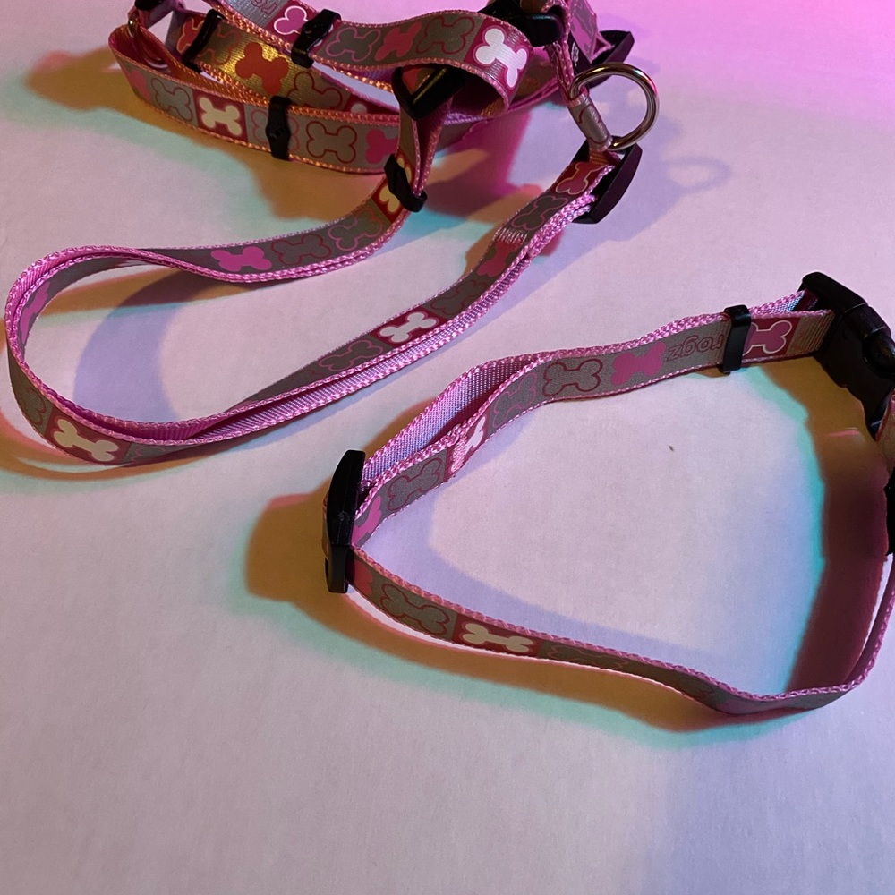 Rogz Doggy Collar and Harness